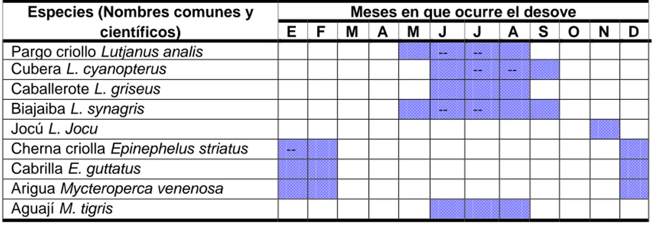 Tabla  II . Especies de pargos y meros que desovan en el Parque Nacional Los Caimanes, y  fechas de ocurrencia (datos tomados de: Claro y Lindeman, 2003; Quirós y Rodríguez, 2006)