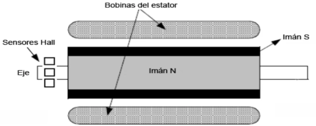 Figura 1.8. Distribución de los sensores efecto Hall en un BLDC. 