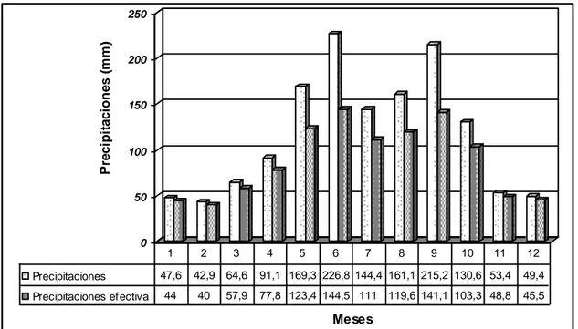 Figura 5. Distribución mensual de la precipitación media y la precipitación efectiva en la  subcuenca hidrográfica de Ranchuelo