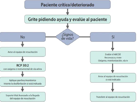 Fig 1: Actuación frente a un paciente en paro cardíaco