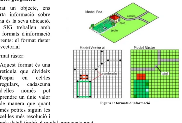 Figura 1: formats d'informació