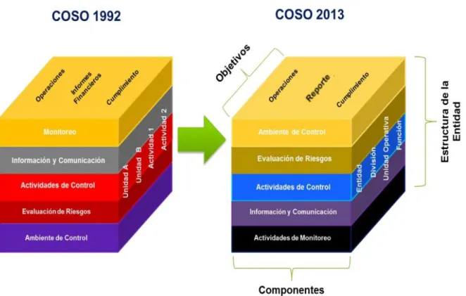 Figura 1: Informe coso 