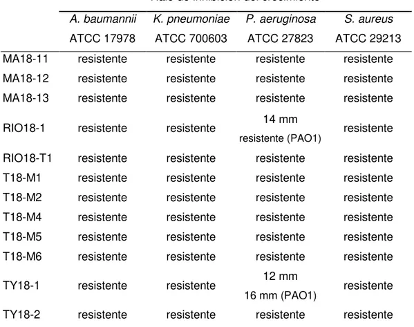 Tabla IV. Medida de los halos de inhibición en disco de los extractos que  mostraron resistencia en el cultivo en caldo (continuación)