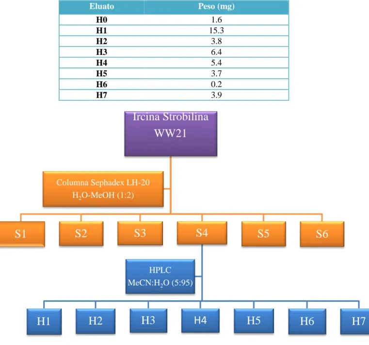 Tabla 7. Peso de la fracciones H0-H7 obtenidas de la separación cromatográfíca por HPLC de la fracción  S4