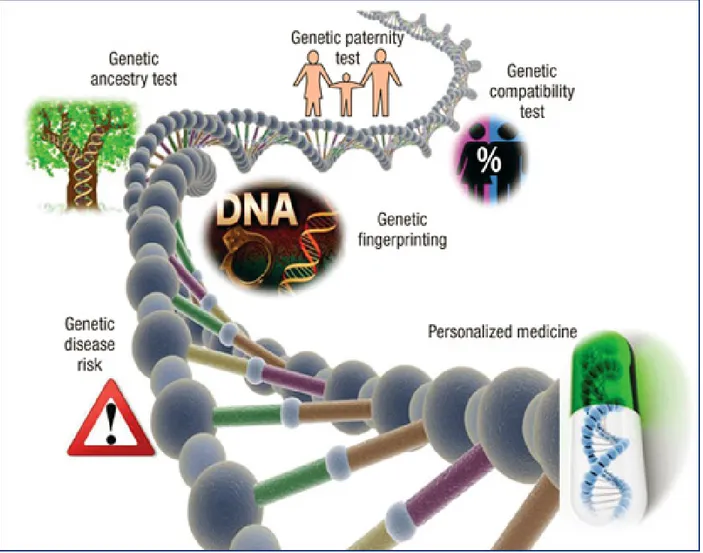 Figura 2: La genómica es una ciencia cada vez más utilizada en los laboratorios clíni- clíni-cos  (http://www.esteticamedica.info/noticias/val/669-42/genomica-personalizada-conocer-los-genes-para-prevenir-enfermedades.html).