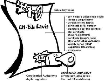 Figura 1.5 Representación de un Certificado Digital X.509 