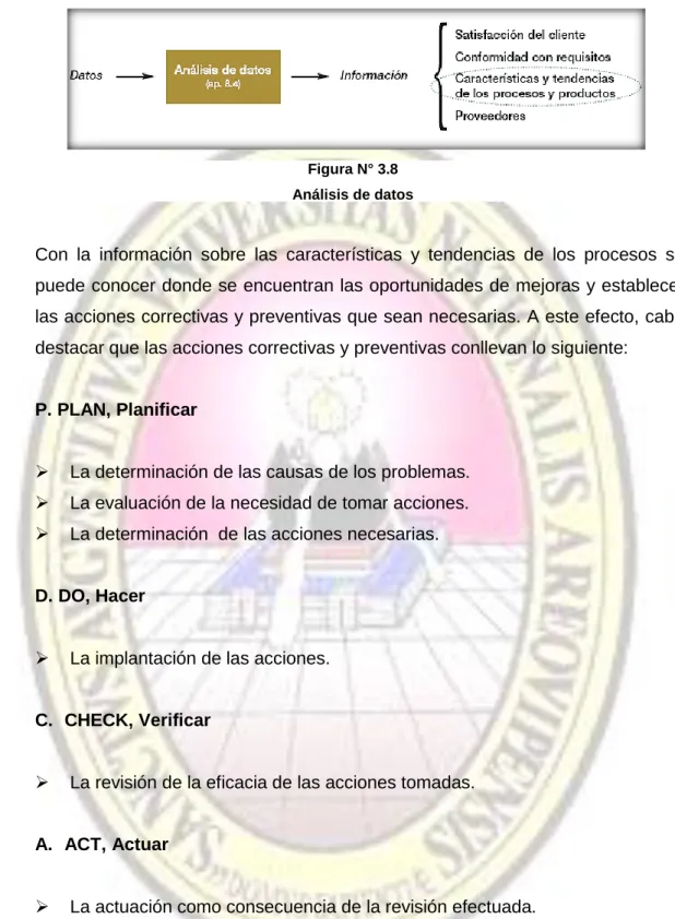 Figura N° 3.8   Análisis de datos 