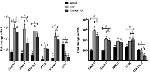 Fig. 5. The interplay between ATRA and TNF on RA FLS migration is dose-dependent. Migration rate of RA FLS measured by wound-healing assays
