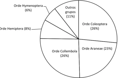 Figura	5.	Diagrama	de	sectores	amosando	a	abundancia	relativa	dos	distintos	grupos	taxonómicos.	