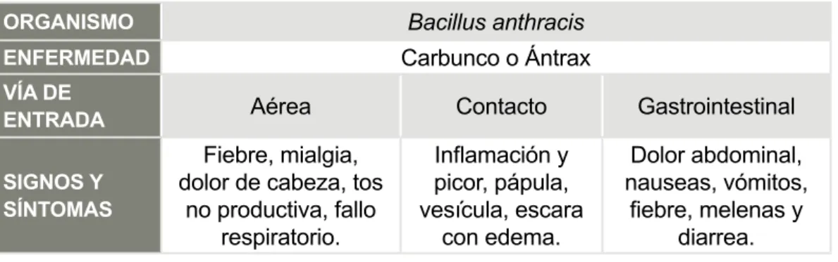 Tabla 2: Características del organismo Bacillus anthracis  17