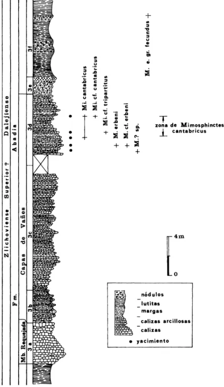 Fig. 6. Columna ~tratigráfica de la sección «Arauz».