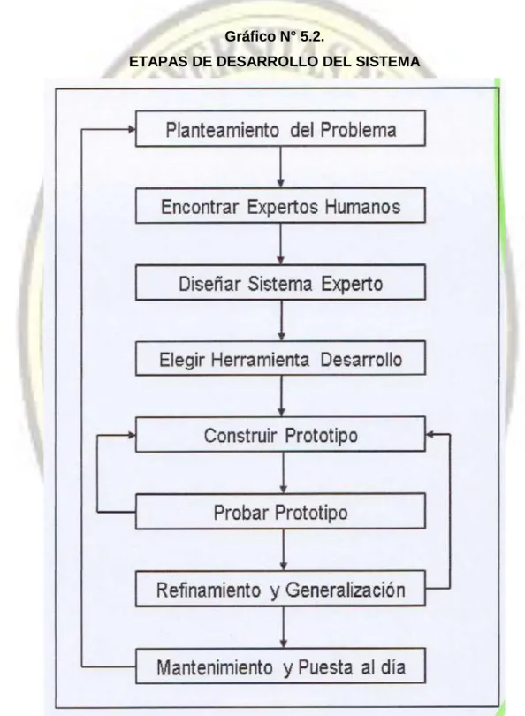 Gráfico N° 5.2. 