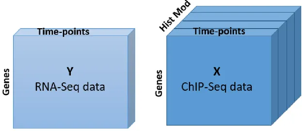 Figure 3. Data structure for the N-PLS model.  