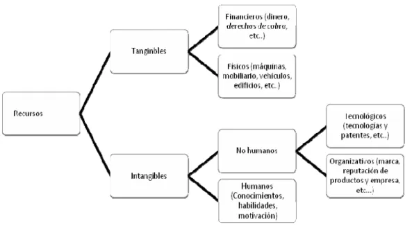 Figura 3: Clasificación de los recursos 