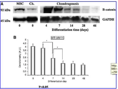 FIG. 6. Wnt signaling during chondrocyte-like cell differentiation in spheroids  engineered using MSCs derived from umbilical cord stroma after 4, 7, 14, 28,  and 46 days in culture in chondrogenic differentiation media