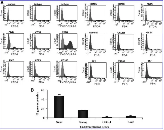 FIG.  2.  Characterization  of  MSCs  from  umbilical  cord  stroma.  (A)  Characterization  of  MSCs  from  umbilical  cord  stroma  using  flow cytometry