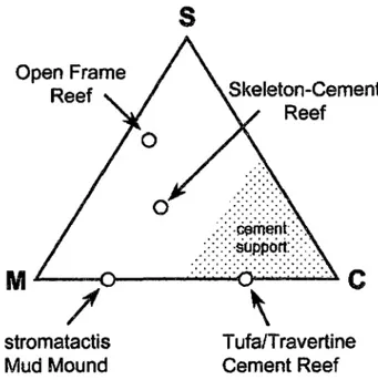 Figura 3.9.  Arrecifes orgánicos  y  carbonatos Mud Mound,  distinguidos por la  presencia de cemento,  dentro de ellos el Travertino (Fuente:  Riding,  2002)