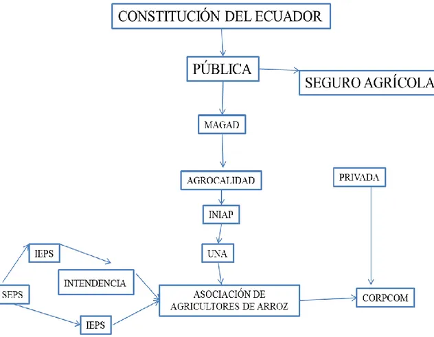 Figura 2 Fuente: Constitución del Ecuador  Elaboración propia 