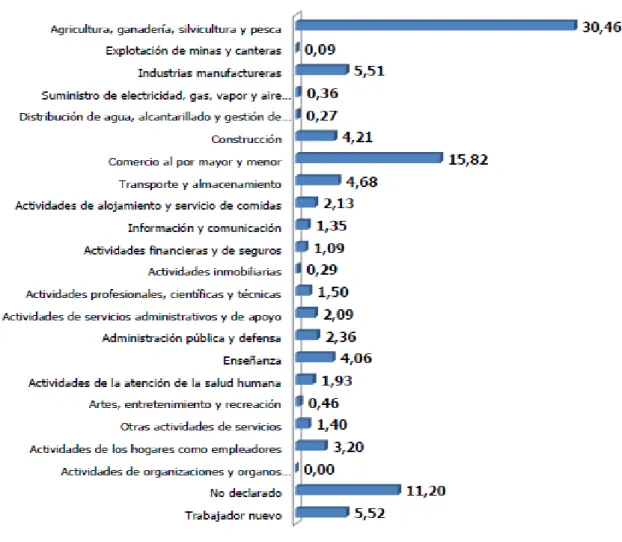 Figura 9: Distribución porcentual de la pea por actividad económica    Fuente: Censo Económico 2010 INEC 