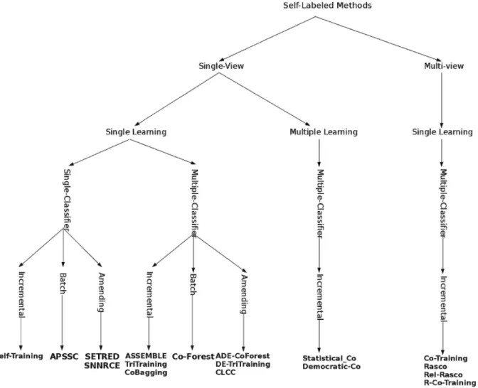 Figura 1.3: Categorizaci´on de los m´etodos de auto-etiquetado