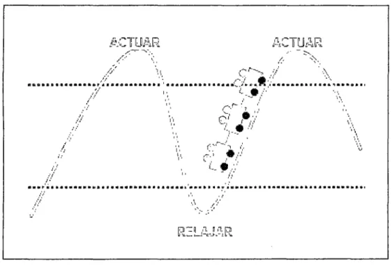 Figura  N°  14.  Ciclo de la  seguridad 