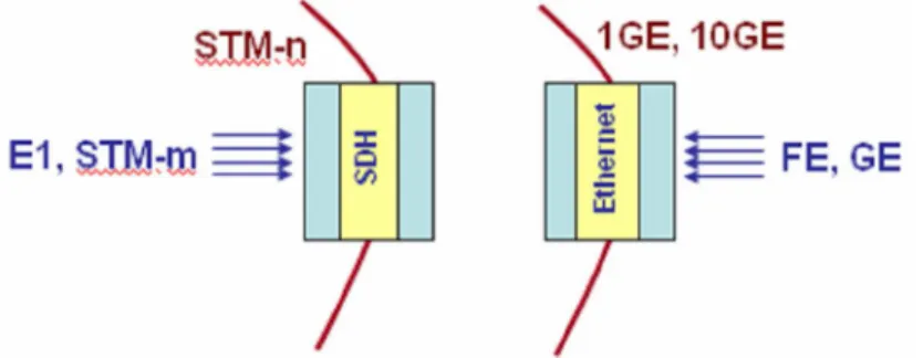 Figura 3.6 - Estructura de una Red SDH y PTN separadas. 