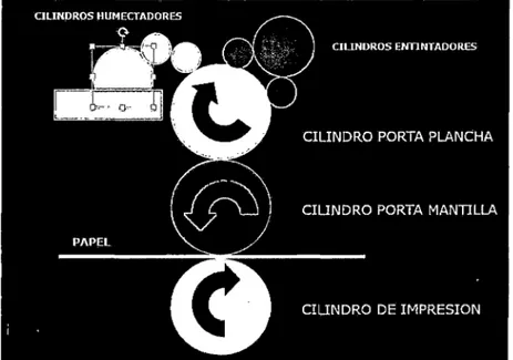 Gráfico N°20:  Estructura interna de  la maquinaria Print-paper. 