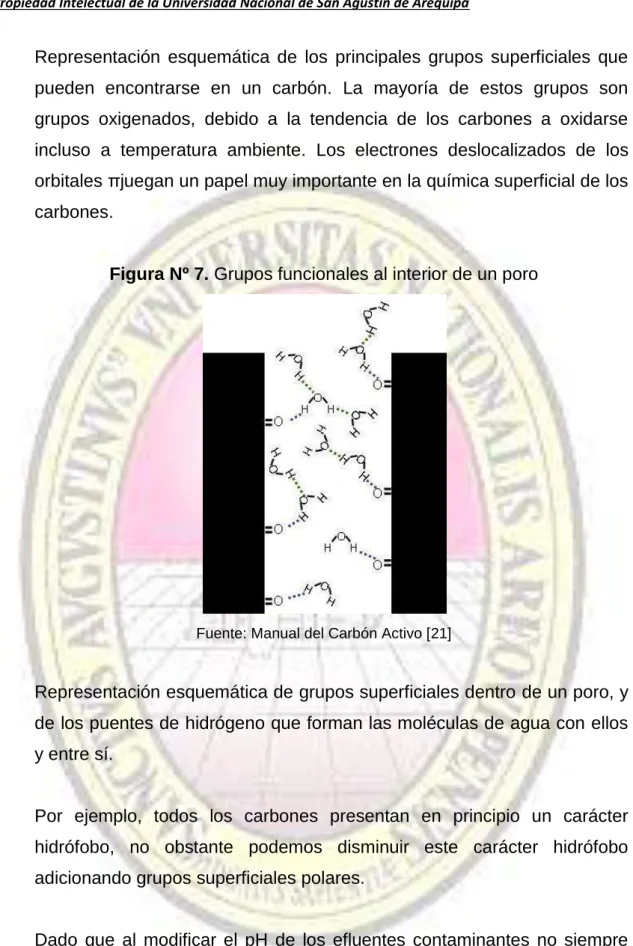 Figura Nº 7. Grupos funcionales al interior de un poro 