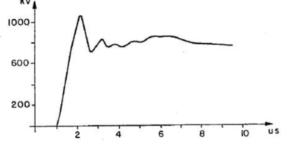 Fig. 1.6 Forma típica de una sobretensión atmosférica  