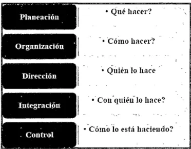 Figura  W  9:  Etapas de la Gestión por procesos 
