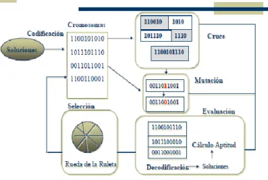 Figura 1. Esquema general de un AG simple  1.3.3- Regresión no-lineal 