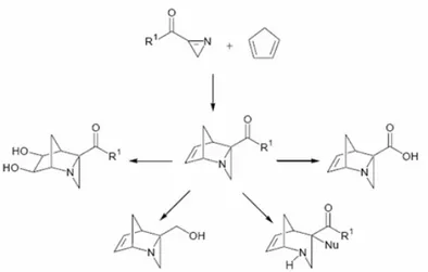 Figura 14. Diversas transformaciones del cicloaducto formado por 2H-azirinas y el ciclopentadieno.