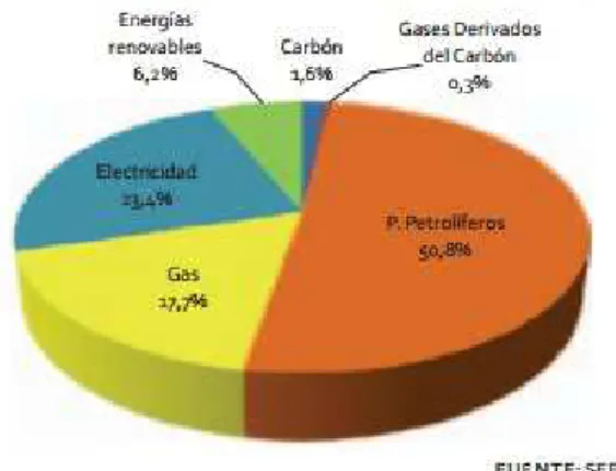 Ilustración 7. Consumo de energía final por tipo de energía en 2013 (Fuente: MINETUR (2014,  p.36))