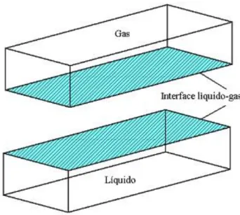Figura 1.9Esquema de un flujo con una interface 