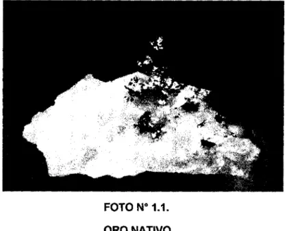 FOTO No  1.1. 