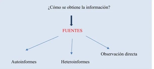 Figura Nº 10. Obtención de la información a través de la evaluación. (Elaboración propia) 