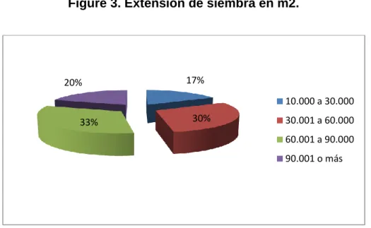 Figure 3. Extensión de siembra en m2.