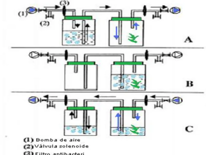 Figura 1.6 Biorreactores de Inmersión Temporal. 