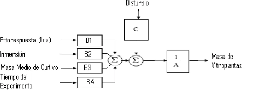 Figura 1.9 Diagramas de bloques modelo ARMAX. 