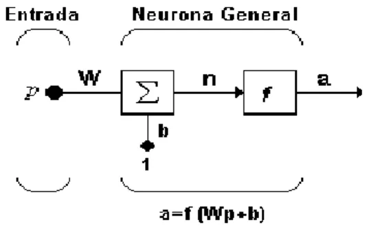 Figura 2.1 Modelo de una neurona. 