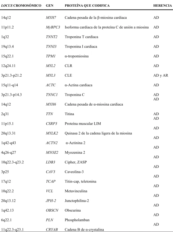 Tabla 1: MCH: genes, loci cromosómicos, proteína y tipo de herencia 