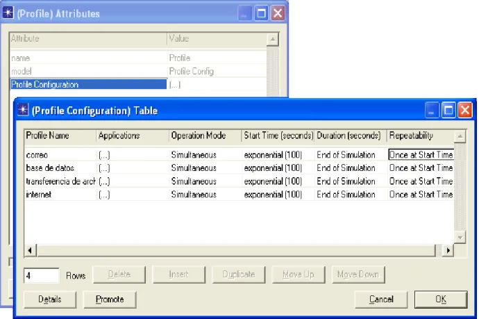 Figura 2.4 Configuración de los perfiles 