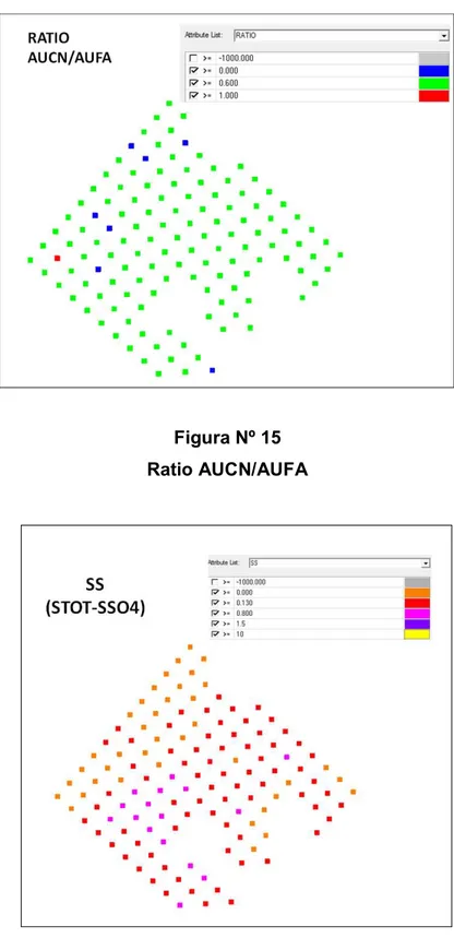 Figura Nº 16  SS 