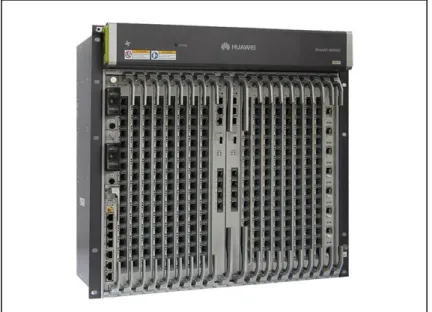 Figura 1.3: OLT. 