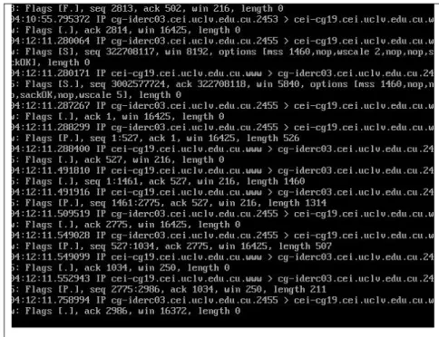 Fig. 3.1. Salida del tcpdump.