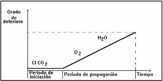 Figura 1.1 Tiempo de vida útil de una Estructura.  