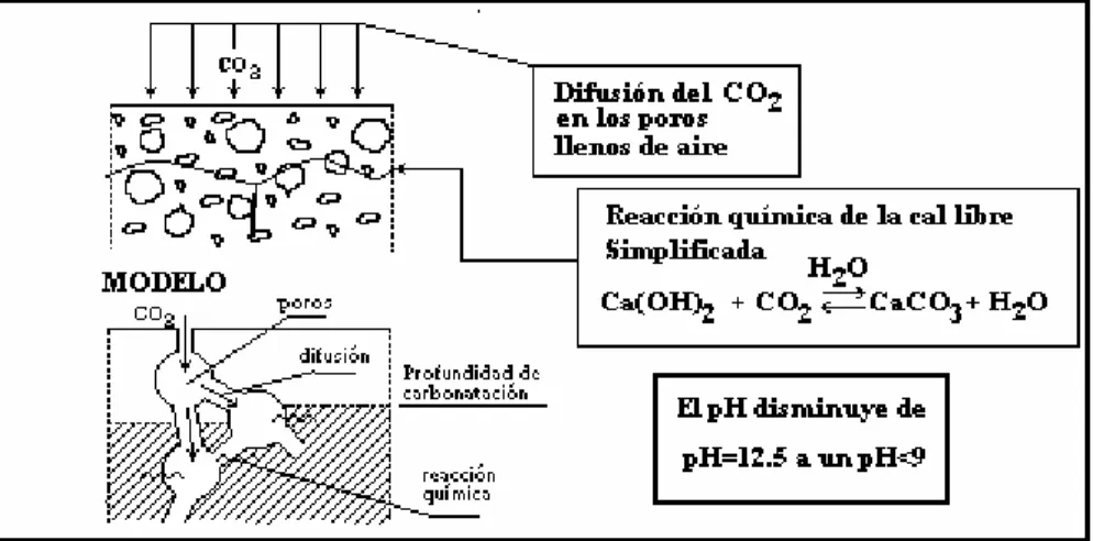 Figura 1.2 Proceso de carbonatación. 