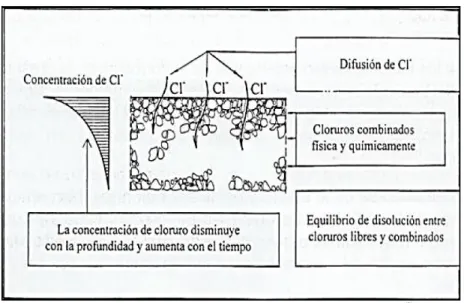 Fig. 1.4 Mecanismo de corrosión por penetración de cloruros (BIOUBAKHSH, 2011). 