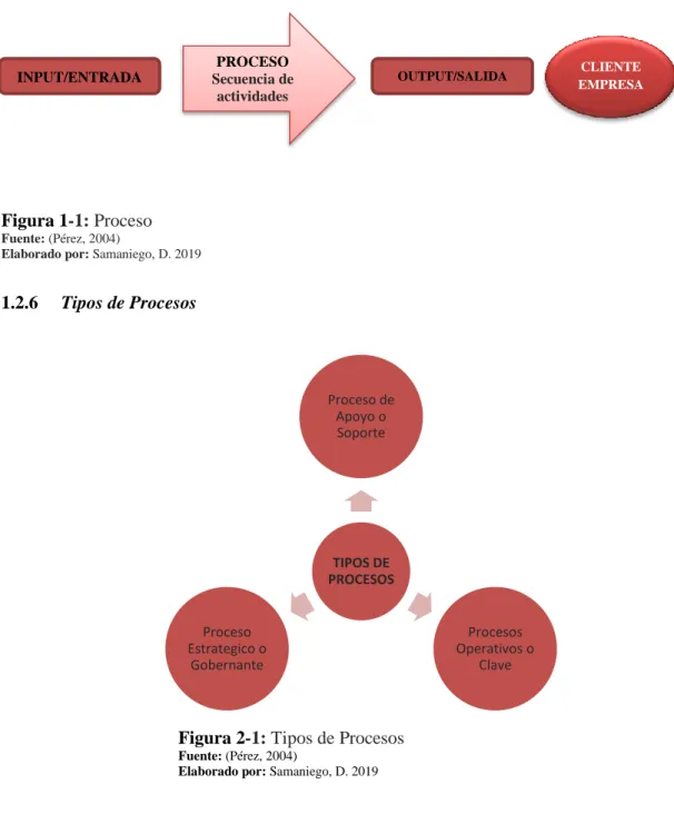 Figura 1-1: Proceso 