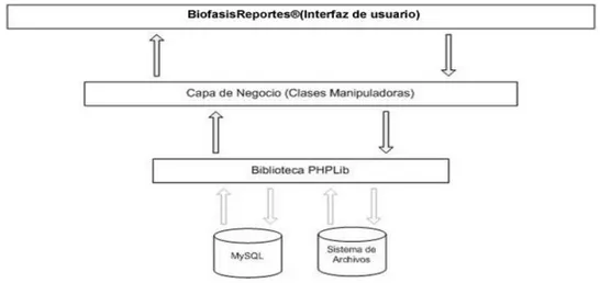Fig. 2.5.1 Diagrama de capas de Biofasis® Reportes 